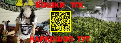 сатива Сланцы