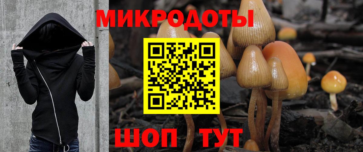 Галлюциногенные грибы мицелий Отрадный