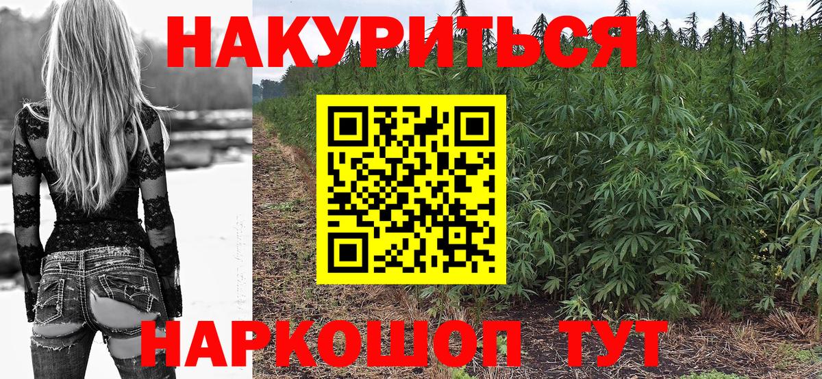 Марихуана ГИДРОПОН  Вход с VPN  Отрадный  Шишки марихуана White Widow 